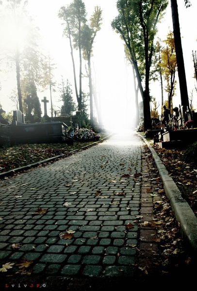 Личаківський цвинтар (Фото: Юля Поважна)