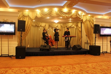 Группа DELUXE (Trio) на вечеринке в PRESIDENT Hotel