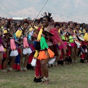 Заради свята, що зветься Танець з очеретиною, до Свазіленду поспішають тисячі туристів…  