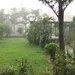Читван_тропічний дощ