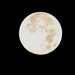 Full Moon 08.21.2013