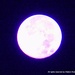Фіолетовий Місяць біля Морських Воріт