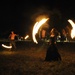 Fire Show