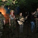 Сни доріг