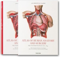 Bourgery - Atlas of Anatomy